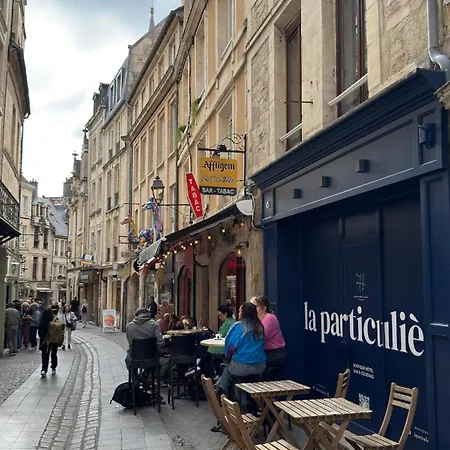 Au Calme, Cœur Historique De Appartement